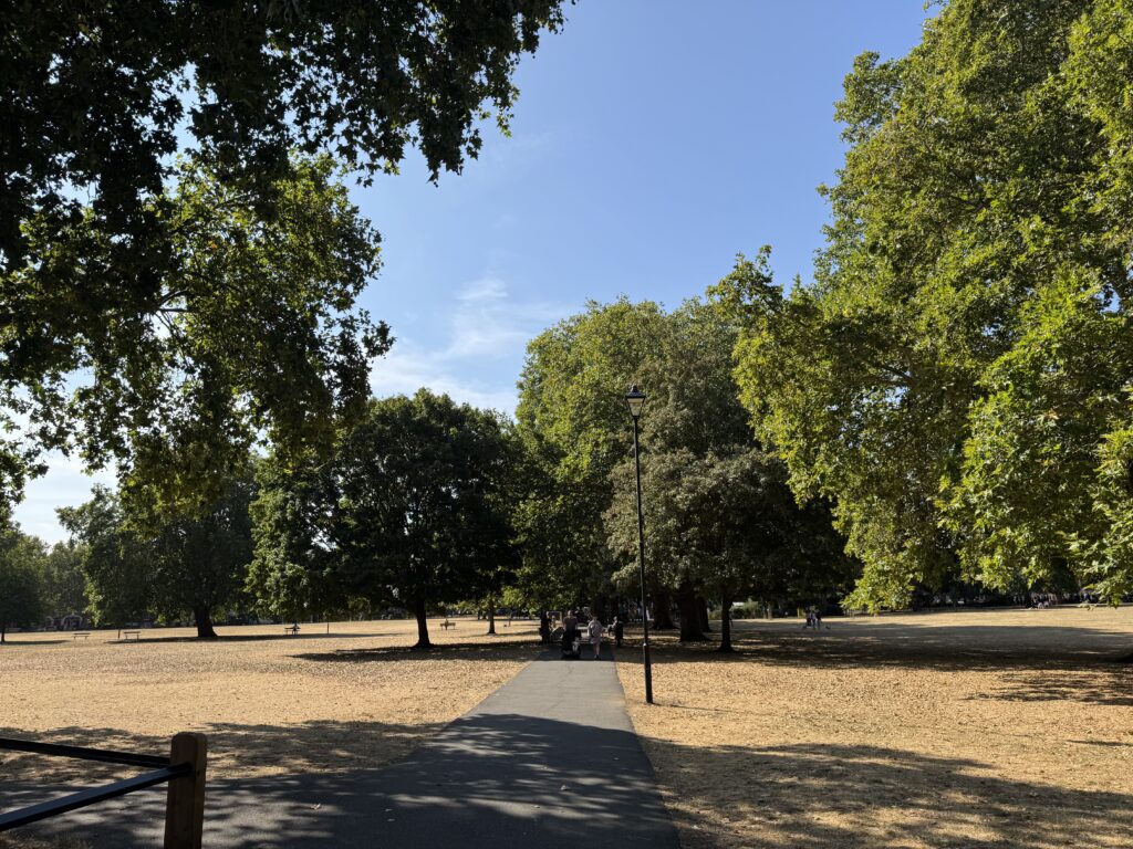 Eel Brook Common園内