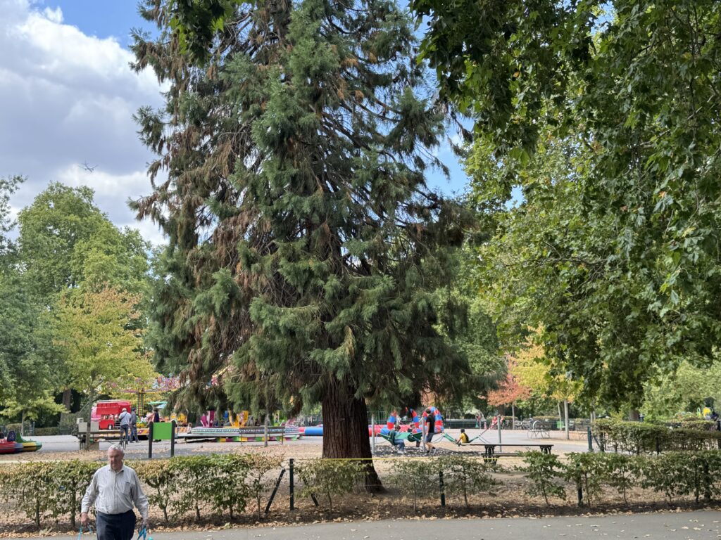 Bishops Park園内